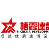 棲霞建設董事會決議公告 選舉江勁松為董事長、總裁及投資興辦實業
